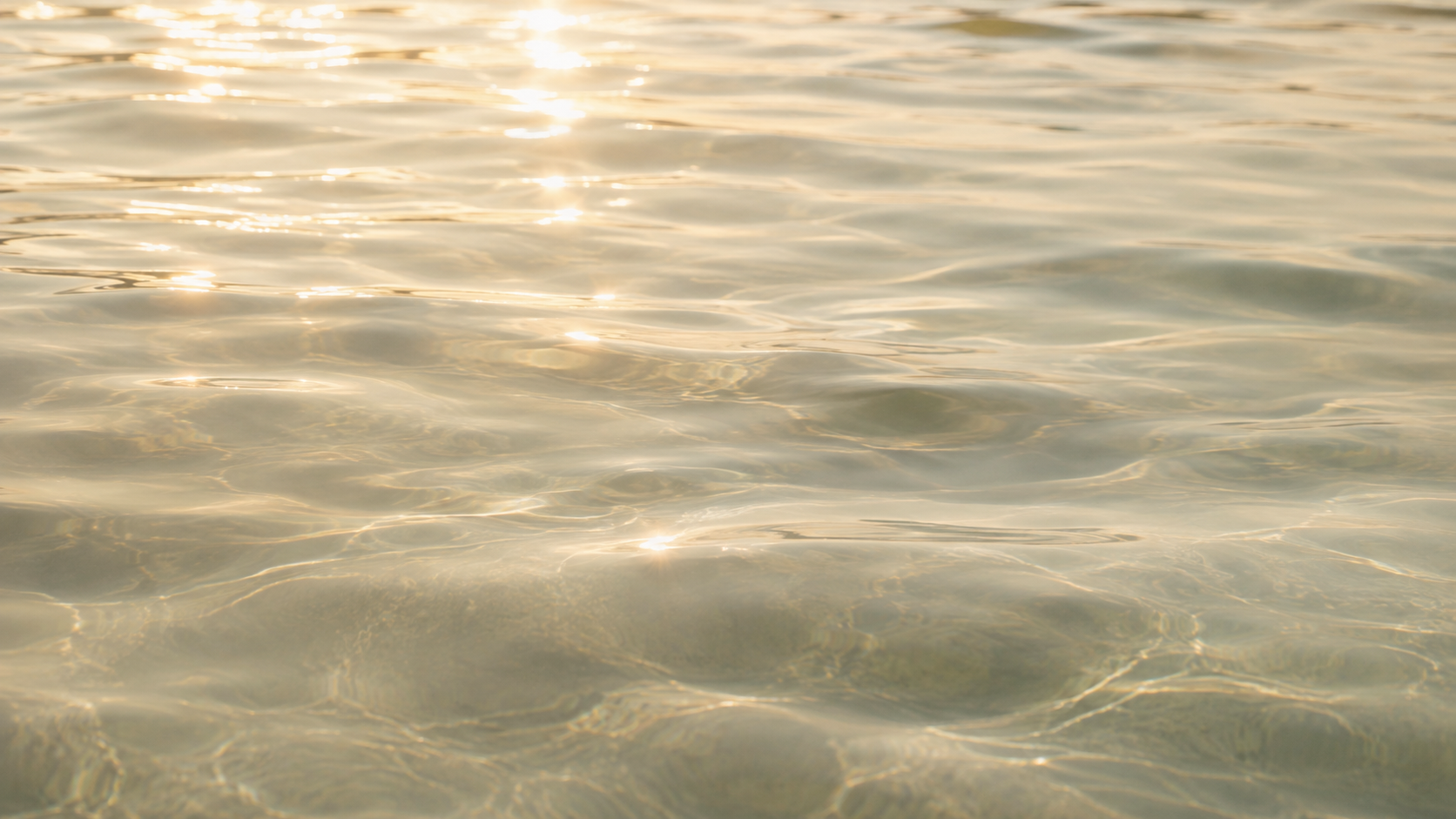 Sunlight reflecting across calm water